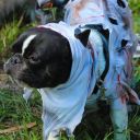 zombie bike ride 2014 key west fl 0814