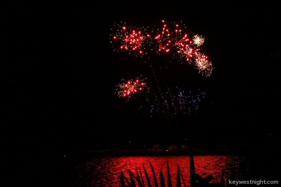 fireworks   01