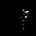 fireworks   13