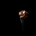 fireworks   14