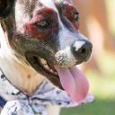 zombie bike ride 2015 keywest pictures    70