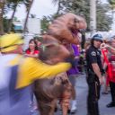 heroes and villains 5k 2015 keywest pictures   379