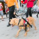 masquerade marcht fantasy fest 2015 keywest pictures   388